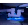 UV COLOR Bleu - Fluotracking