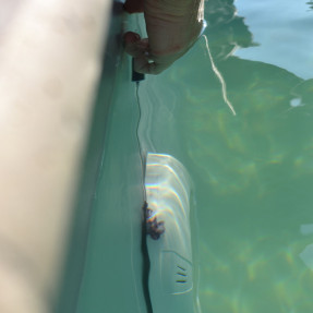 Seringue une dose colorant bleu fuite piscine